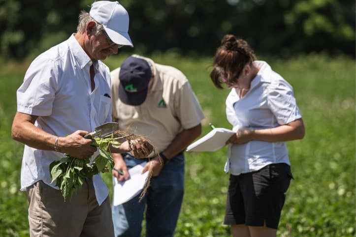 soil test