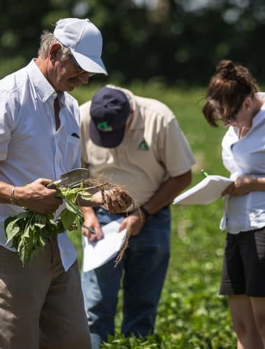 soil test